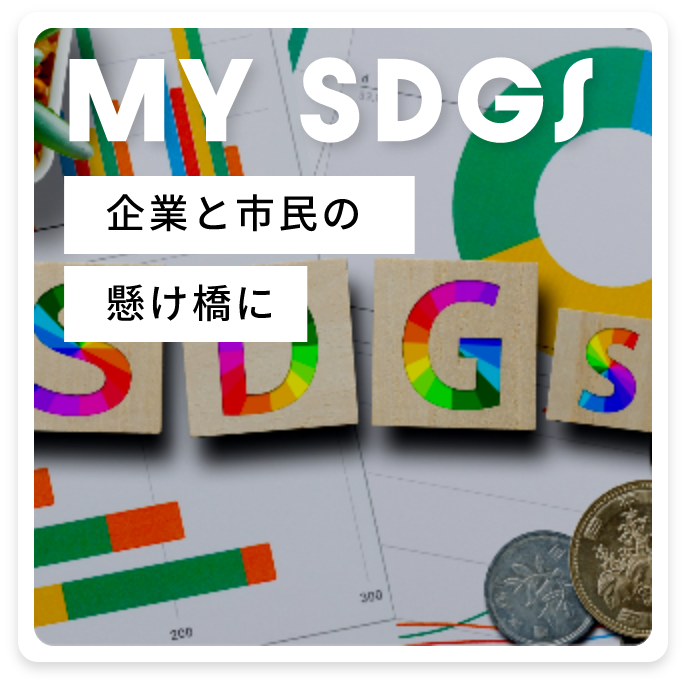 MY SDGS